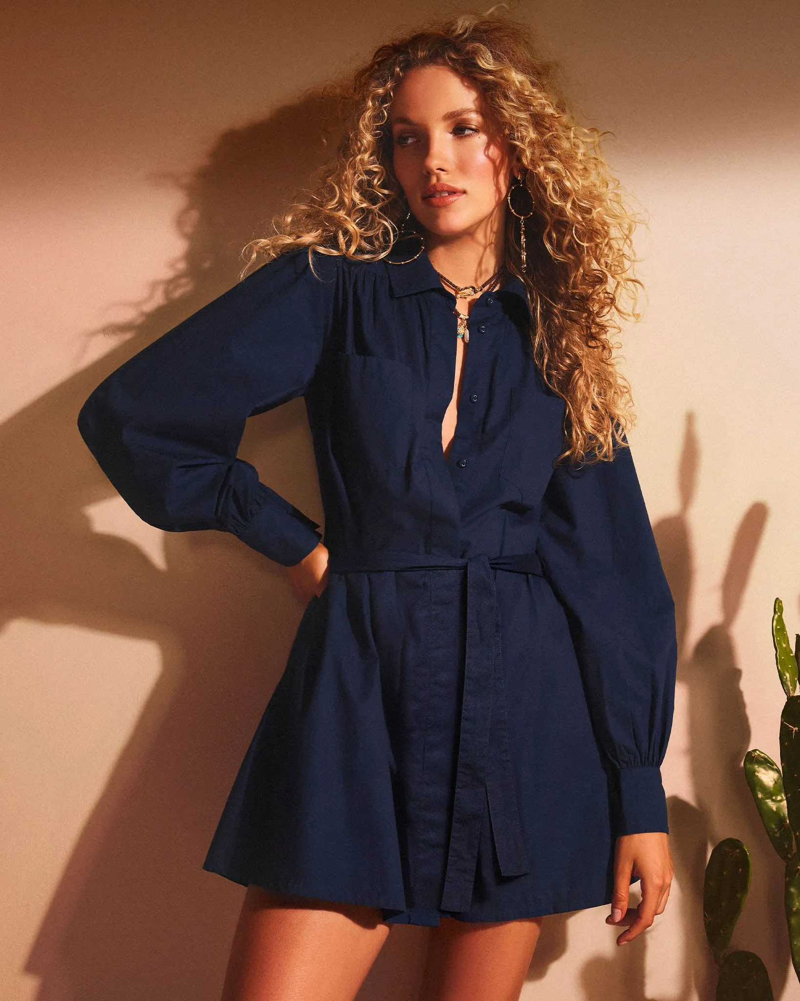 Mitch Cotton Poplin Mini Dress